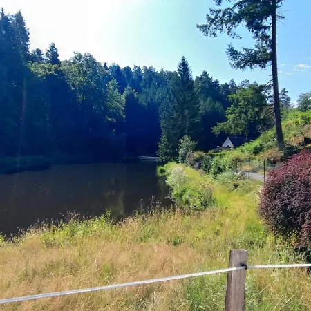 Pivoine Dans Les Vosges Du Nord