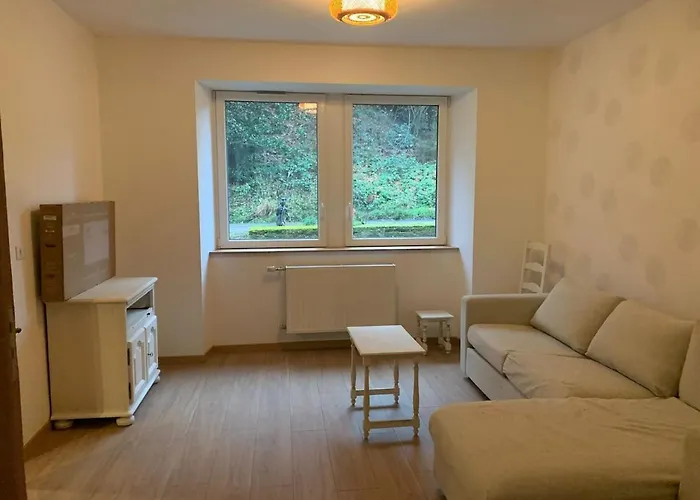 Pivoine Dans Les Vosges Du Nord Dossenheim-sur-Zinsel