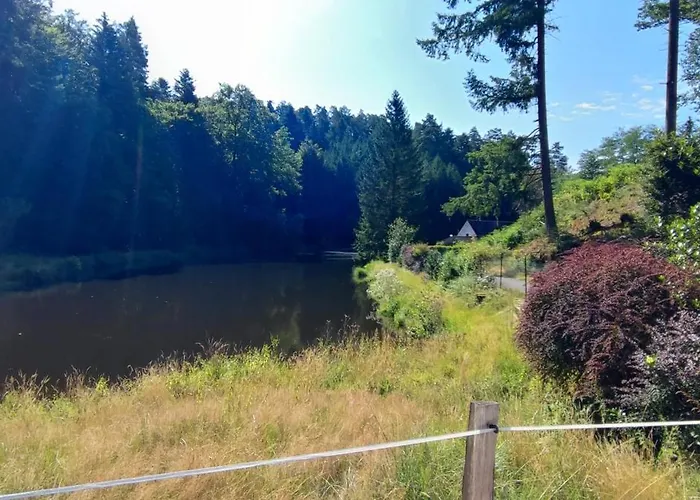 Pivoine Dans Les Vosges Du Nord