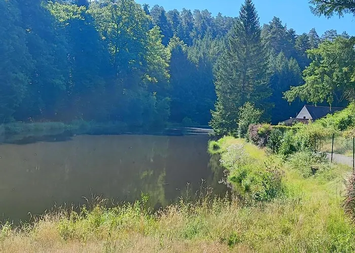 Pivoine Dans Les Vosges Du Nord Appartement Dossenheim-sur-Zinsel