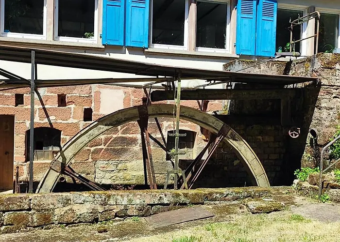 Pivoine Dans Les Vosges Du Nord * Dossenheim-sur-Zinsel