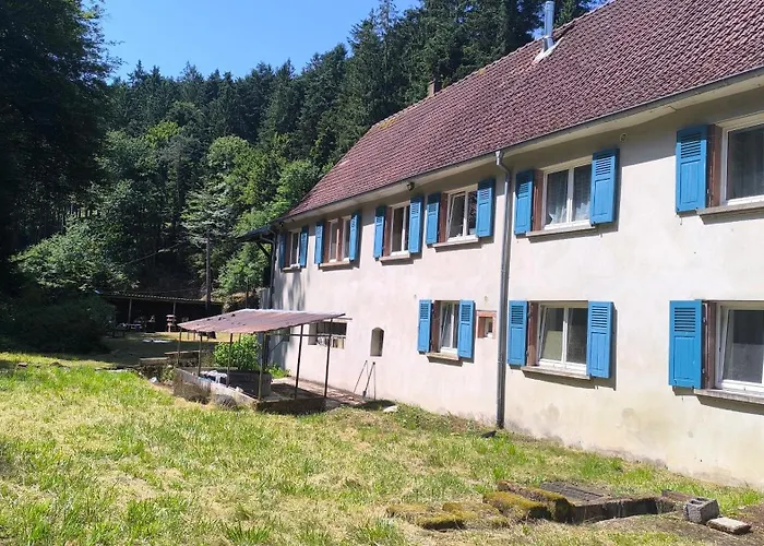 Pivoine Dans Les Vosges Du Nord * Dossenheim-sur-Zinsel