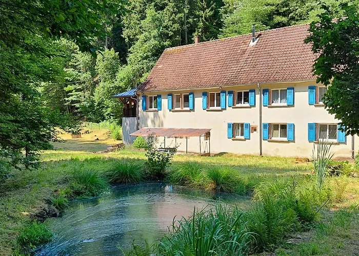 Appartement Pivoine Dans Les Vosges Du Nord